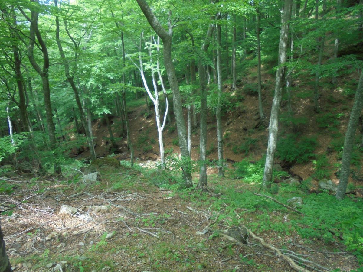 Villa El Correc Laroque-des-Alberes Luaran gambar