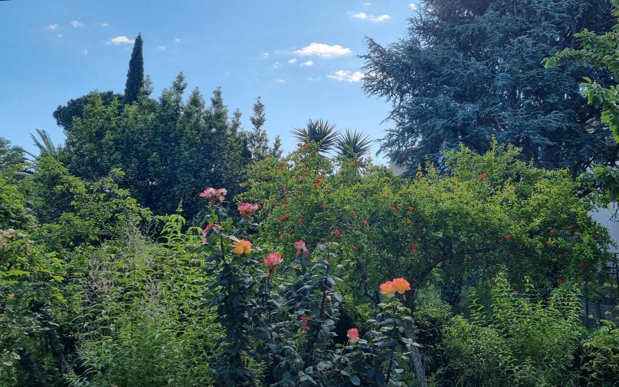 Villa El Correc Laroque-des-Alberes Luaran gambar